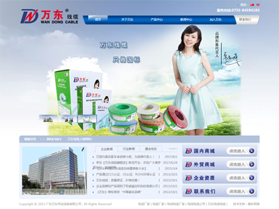 萬東偉業線纜